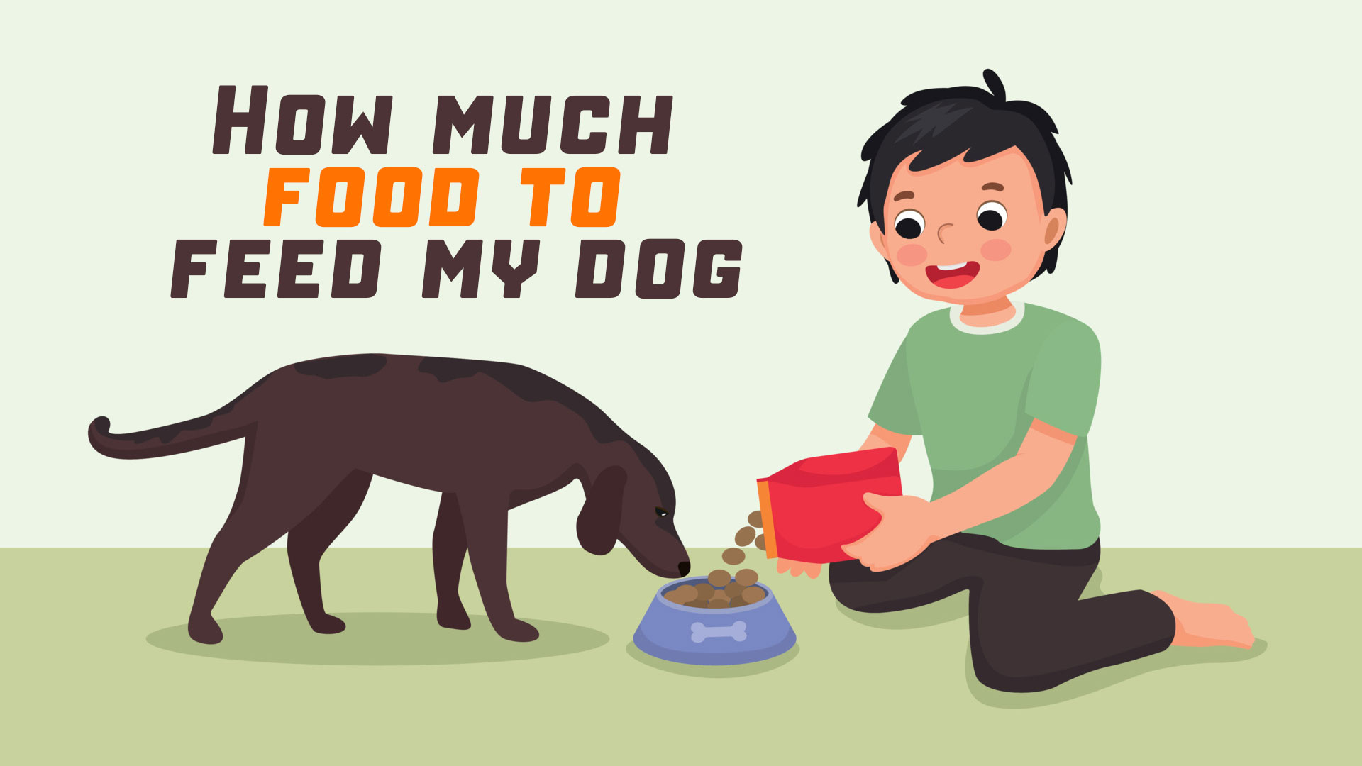 How much food to feed my dog