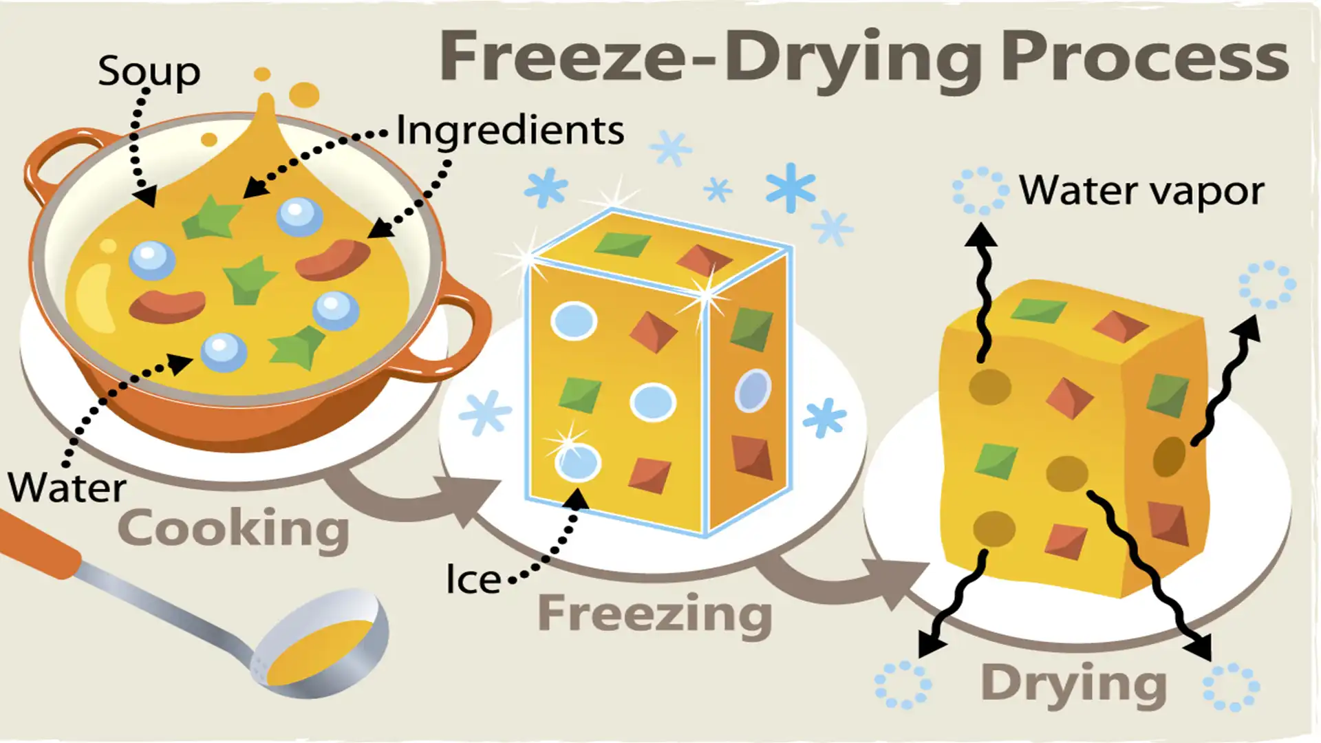 how to freeze dry food